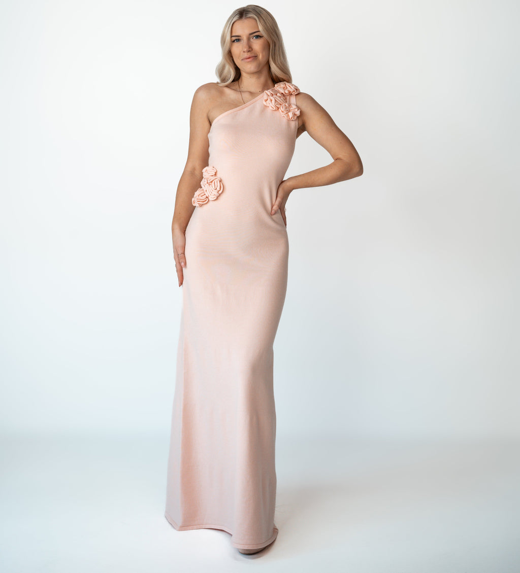 MESHKI - PALOMA (M)
